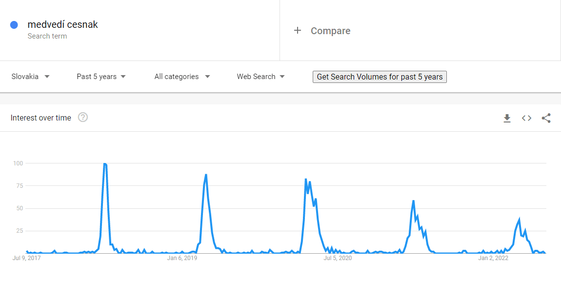 Ako vyzerá hľadanosť kľúčového slova medvedí cesnak v Google Trends